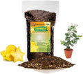 GARDENERA Premium Carambola Potting Soil Mix - Perfect Balance of Nutrients, Drainage, and Aeration for Thriving Starfruit Trees - 4 Quart by Gardenera