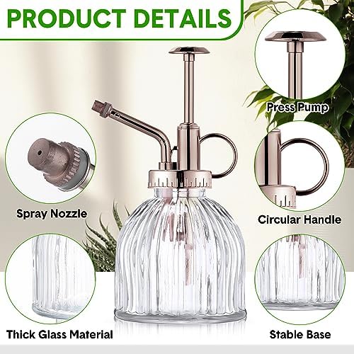Maxdot 12Pcs Glass Plant Mister Spray Bottle 220ml, Mixed Sprayer - Image 3
