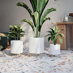 EverNest Claire Honeycomb Neutral White Planter with Nyra Stand, Indoor Plant Pots, SelectBase, Mid-Century Modern, Boho Style Home Decor for Plants (Medium, Gold) - Image 6