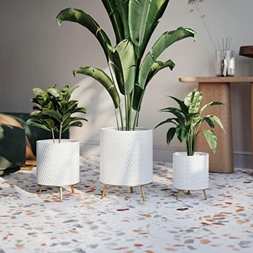 EverNest Claire Honeycomb Neutral White Planter with Nyra Stand, Indoor Plant Pots, SelectBase, Mid-Century Modern, Boho Style Home Decor for Plants (Medium, Gold) - Image 6