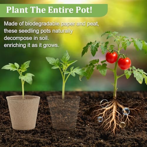 RooTrimmer 3.15 Inch Peat Pots 100 Pcs with 20 Cell Seedling Trays 5 Pcs, Biodegradable Seed Starter Pots with Drainage, Reusable Nursery Tray for Seed Starting Indoor Gardening Propagation Kit 5 Sets - Image 2