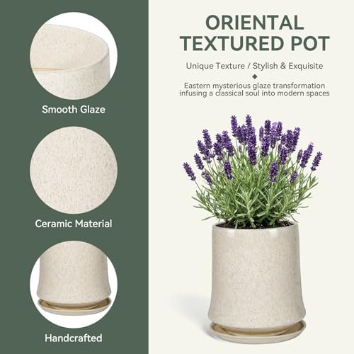 11 Inch Ceramic Planter Pot with Saucer Drainage Leak-Proof Mesh,Flower Pots for Lavender with Gardening Gloves,Ceramic Planter for Orchid(Silk White) - Image 3