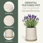 11 Inch Ceramic Planter Pot with Saucer Drainage Leak-Proof Mesh,Flower Pots for Lavender with Gardening Gloves,Ceramic Planter for Orchid(Silk White) - Image 3
