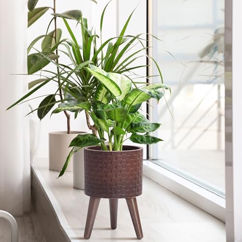 D'vine Dev Planter Pot with Wood Stand, 8 in, Espresso, 88-Z-A-6 - Image 2
