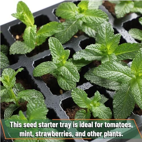 Mr. Pen- Seed Starter Tray Kits, 10 Pack, Total 400 Cells - Image 6