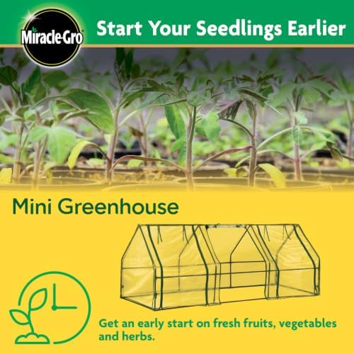 Miracle-Gro Greenhouse, Quick Snap Assembly, Clear, 3'x8'x3' - Image 5