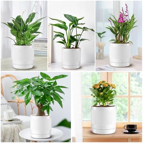 Vanavazon 6 Inch Glazed Ceramic Plant Pots with Drainage Hole and Saucer, Cylinder Indoor Planters for All House Plants, Modern Decor for Home & Office, Set of 2 (White) - Image 6