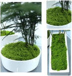Artificial Moss Decorative Green Mat Plant Wall Panel Grass Home Bar 1X1m(5 Size) - Image 6