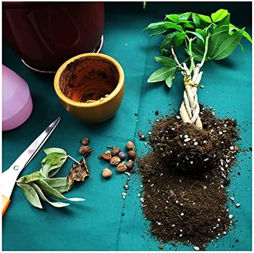 2pcs Plant Transplanting Repotting Mat Garden Mat for Repotting Succulent Plants Change Soil Portable Foldable Reusable for Pruned Plants Seedlings Potted Watering (Size : 75 * 75cm) - Image 6