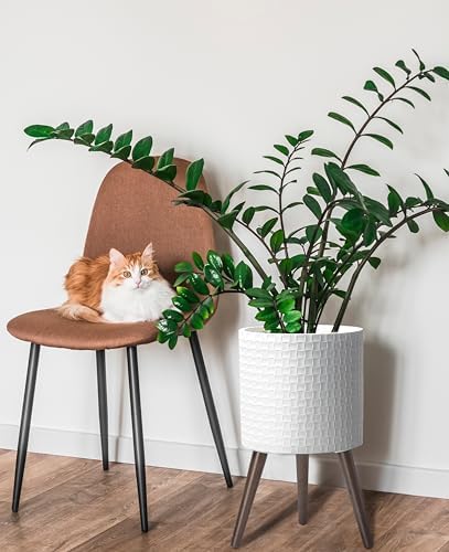 D'vine Dev Planter Pot with Wood Stand, 12 in, Matte White, 88-Z-C-1 - Image 5