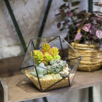 NCYP Opened Geometric Glass Terrarium, 6.69" Bowl Shape Planter for Succulent Plant Cacti, Indoor Balcony Irregular Decor, Garden Miniature Pot, Tabletop Centerpiece (No Plants) - Image 3
