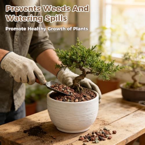 18lb Mix Lava Rocks for Plants 1/4" Horticultural Pumice for Plants, Succulent Cactus Soil Potting Mix - Horticultural Sand Aquarium Gravel Drainage Rocks for Potted Plant, Bonsai Soil, Top Dressing - Image 6