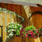 S Hooks for Hanging Plants Branch Hook, 24 Pack, Black, 24 Inch - Image 5