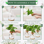 Nuanchu 4 Pcs Desktop Plant Terrarium Vase, Large - Image 4