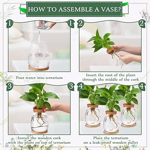 Nuanchu 4 Pcs Desktop Plant Terrarium Vase, Large - Image 4