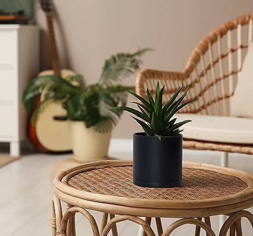 D'vine Dev 4-Pack Black Plastic Planters with Saucers, 5 in, 74-Y-G-2 - Image 5