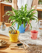 Metahom Ceramic Plant Pots, Assorted Colors, Set of 3, Embossed Design - Image 3
