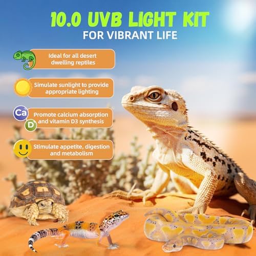 GlowUp 24W 10.0 T5 UVB Reptile Light Fixture Combo Kit 22inch Reptile Lamp Terrarium Hood 10.0 UVB Light for Bearded Dragon Reptiles Tropical Desert-Dwelling Lizards and Tortoises - Image 4