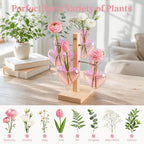 Nacome Plant Terrarium Propagation Stations: Pink Vase with Wooden Stand - Image 6