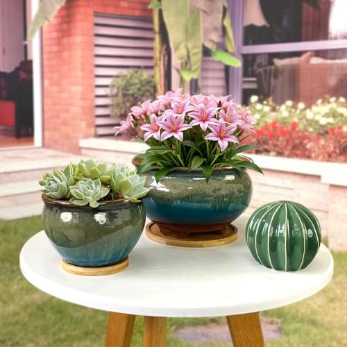 8 and 5.5 Inch Succulent Pot with Drainage and Saucer Glazed Terracotta Round Ceramic Succulent Planter Cactus Bonsai Plant Pot (Brown and Green) - Image 3