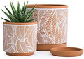 D'vine Dev Set of 2 Terracotta Pots, Leaves Pattern Planter Pot, 31-958-I-1 by DvineDevPlanterPotsandStand