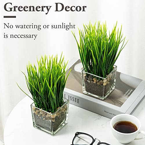 MyGift Set of 2 Artificial Grass Plants in Square Glass Pots with Pebbles - Image 3