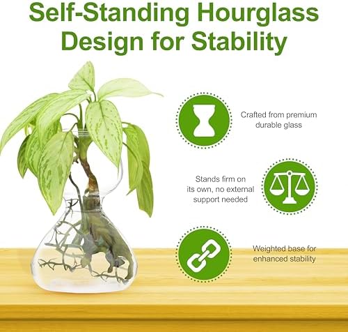 Garden Guru Plant Propagation Stations - Clear Glass Bud Vases Set of 8 - Mini Vases for Wedding Centerpieces, Cafe Décor, Tea Shop Displays - Small Hydroponic & Flower Vase - Image 2