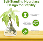 Garden Guru Plant Propagation Stations - Clear Glass Bud Vases Set of 8 - Mini Vases for Wedding Centerpieces, Cafe Décor, Tea Shop Displays - Small Hydroponic & Flower Vase - Image 2