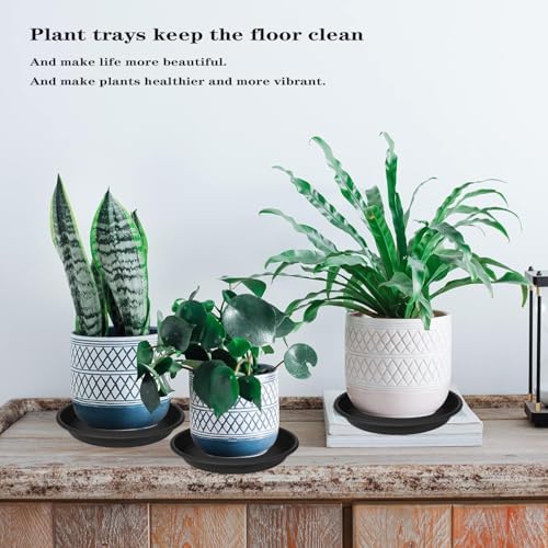 3 Pack of 18 19 inch Plant Saucer, 2.4" Depth Large Plant Tray, Heavy Sturdy Plant Drainage Tray for Indoors, Sturdy Plastic Plant Plate Water Catcher for Planter 15-19"(19", Black) - Image 7