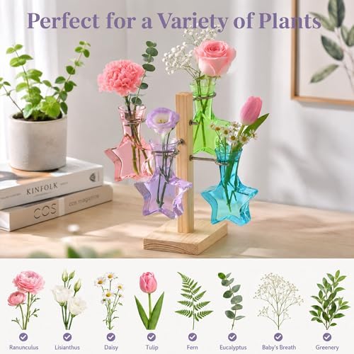 Nacome Plant Terrarium Propagation Stations: Colored Vase with Wooden Stand - Image 6