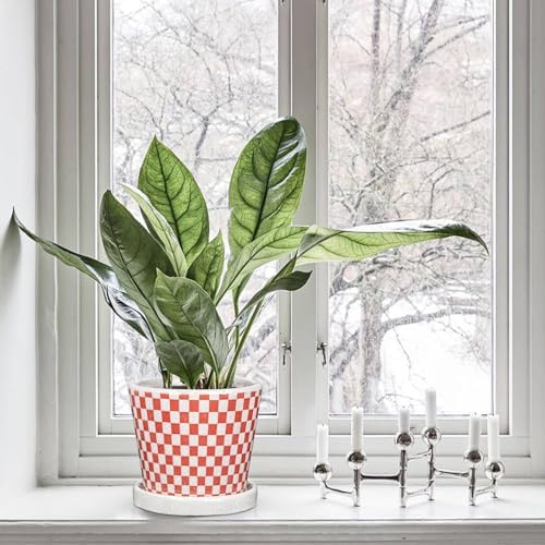 Set of 3 Pink Plant Pots, Small Flower Pots Round Planter Pot with Drainage Hole and Saucers Modern Ceramic Planters for Indoor Plants Succulents Cactus Orchid Garden 5.5 Inch Outdoor Plant Pot - Image 4