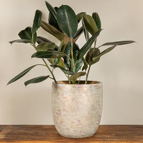 Creative Co-Op Embossed Textured Stoneware Planter, Metallic Gold - Image 6