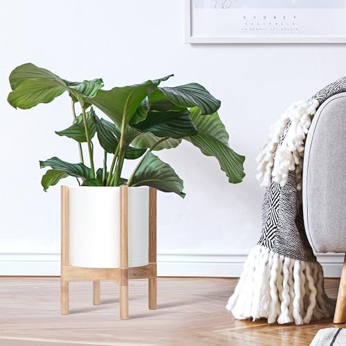 D'vine Dev Plastic Pot with Natural Wood Stand, White, 10 in, 55-C-M-1 - Image 2