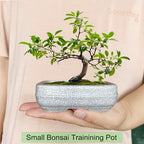 MUZHI 2 Pack Amazing Ice Crack Glazed Ceramic Bonsai Pot White Color 5 Inch with Bamboo Tray, Plant Pot Succulent Planter for Office Home Garden Decor Gift - Image 4