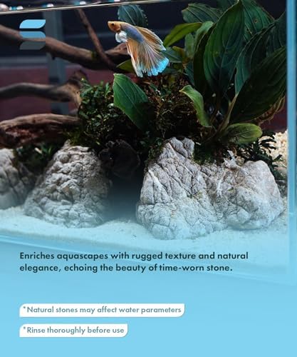 SubstrateSource Natural Aquarium Stones - Light Brown with Gray, Dimples & Craters, Decorative Aquascaping Rocks, Epiphytic Plants, Shrimp, Betta Fish Tank & Reptile Enclosure - Elephant Skin, 30 LB - Image 3