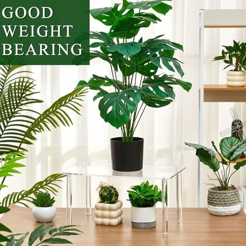 RattanView 2 Pcs 16 Inch Acrylic Risers Display Stands 4-leg Plant Stand - Image 5