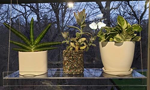 Hanging Acrylic Shelves for Windows (16" Wide, 4 Shelves - 55" Tall) - Image 5