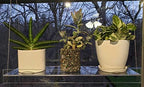 Hanging Acrylic Shelves for Windows (34" Wide, 1 Shelf - 26" Tall) - Image 5