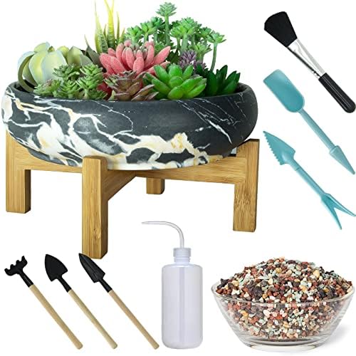 ARTKETTY Succulent Pots, 10 Inch Large Bonsai Pots with Drainage Stand by ARTKETTY