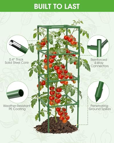 3 Pack Tomato Cages,Square Tomato Plant Stakes Support Cages Trellis for Garden Climbing Vegetables Flowers Fruits,Extra Bold - Image 6