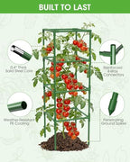 3 Pack Tomato Cages,Square Tomato Plant Stakes Support Cages Trellis for Garden Climbing Vegetables Flowers Fruits,Extra Bold - Image 6
