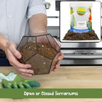 Soil Sunrise Terrarium Potting Soil Mix (8 Quarts) w/Blended Filtering Charcoal Custom Made for Terrariums - Image 4