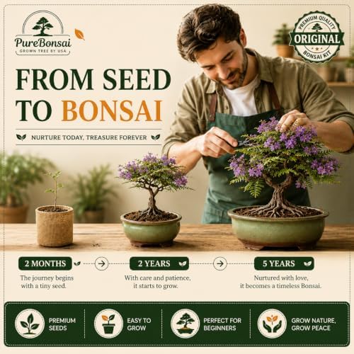 Bonsai Tree Starter Kit for Beginners – Complete Indoor Growing Kit with 5 Unique Japanese Bonsai Tree Seeds Pots & Gardening Tools DIY Gift for Adults - Image 6