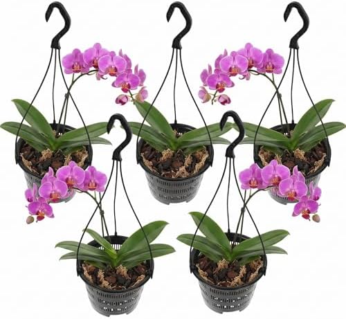 5 Pack Orchid Hanging Planters - Slotted Mesh Net Orchid Pots for Repotting - Black Plastic Hanging Flower Baskets with Hooks for Indoor Outdoor Plants - Breathable Root Control Planter Container - Image 7
