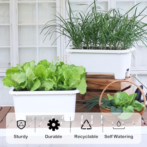 Oliz Self-Watering Rectangle Planter Boxes 8-Pack, 15.7-Inch Window Box Planter with Drainage Holes & Trays, Pots for Vegetables, Herbs, Flowers, Garden Windowsill Balcony (White) - Image 3