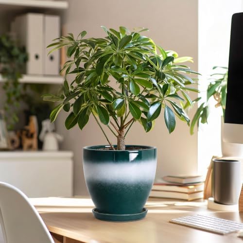 Ceraimc 6 Inch Planters, Ceraimc Pots for Plants, Green-White - Image 5