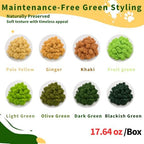 Preserved Reindeer Moss, 17.64oz -Blackish Green - Image 4