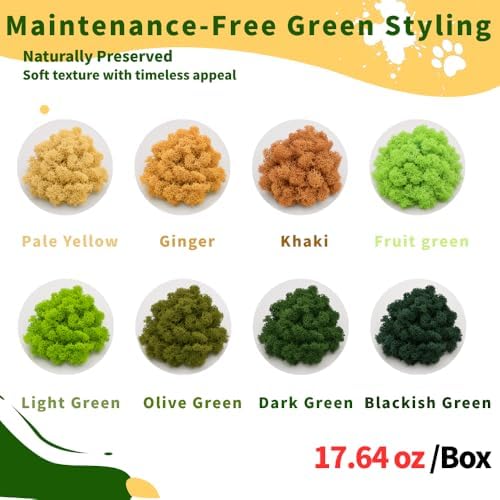 Preserved Reindeer Moss, 17.64oz -Blackish Green - Image 4