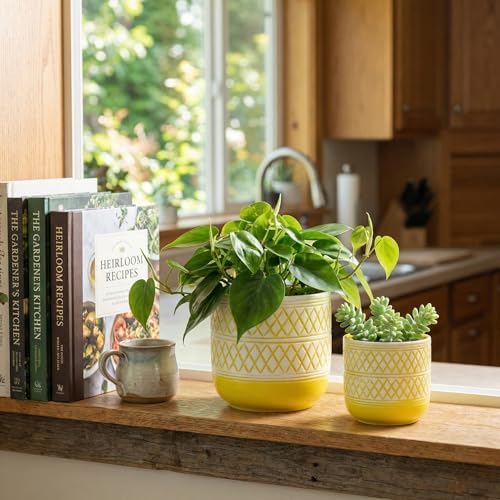 HERDUK Decorative Ceramic Flower Pots Set of 2 – 6 & 4.7 Inch Indoor Plant Pots, Boho Decorative Pots for Plants, Orchid & Succulent Planters with Drainage - Image 2