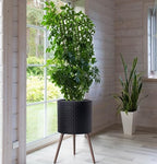 D'vine Dev Planter Pot with Wood Stand, 16 in, Matte Black, 88-Z-E-2 - Image 6